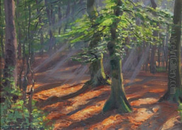 Sonne Im Wald Dahlholzli Oil Painting by Waldemar Theophil Fink