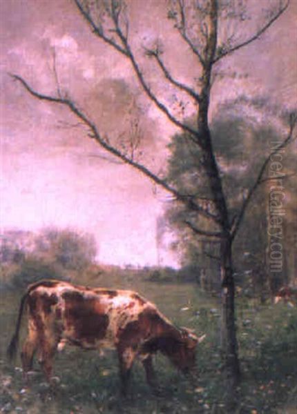 Weidelandschaft Mit Grasender Kuh Oil Painting by Marie Francois Firmin-Girard