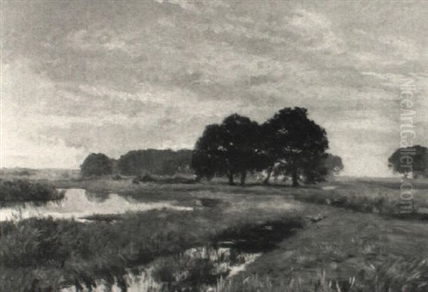 Moorlandschaft Mit Wildenten Oil Painting by August Fischer