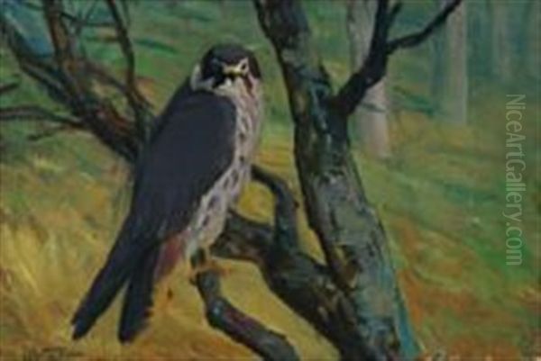 A Peregrine Falcon Looking From A Branch Oil Painting by Vilhelm Theodor Fischer