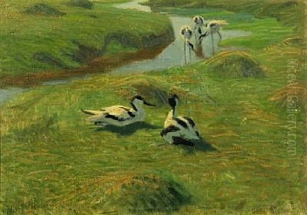 Scenery With Pied Avocets Oil Painting by Vilhelm Theodor Fischer