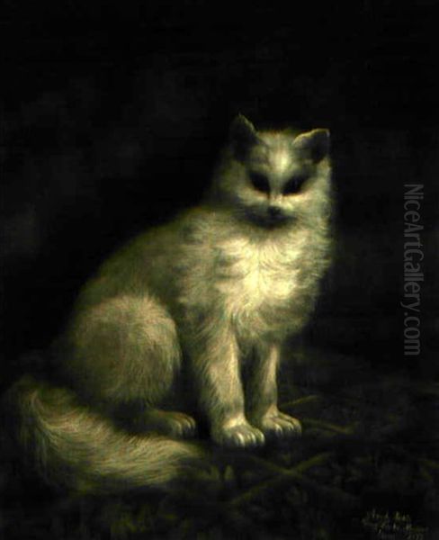 Sitzende Katze Oil Painting by Jakob Henri Fischer-Hinnen