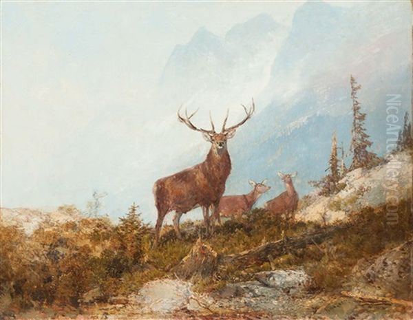 A Buszke Szarvasbika Oil Painting by Georg Fischhof