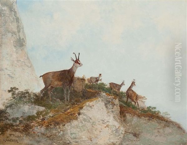 Hegyikecskek Oil Painting by Georg Fischhof