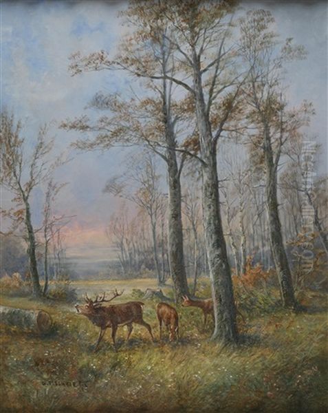 Rotwild In Waldlandschaft Oil Painting by Georg Fischhof