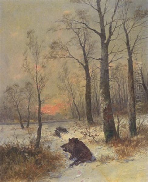 Wildschweine Im Schnee Oil Painting by Georg Fischhof