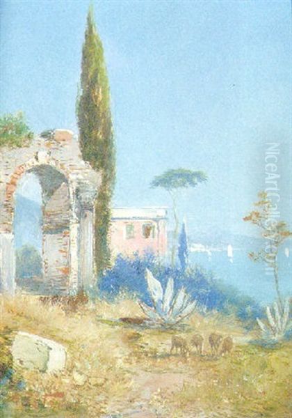 The Bay Of Fichatella Oil Painting by Georg Fischhof