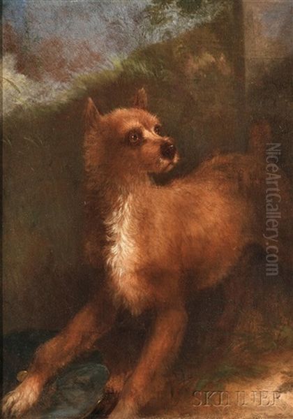 Terrier Oil Painting by Alvan Fisher