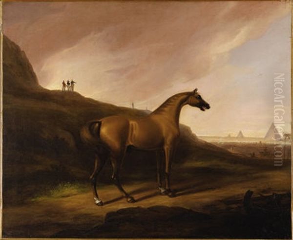 Napoleon's Horse Oil Painting by Alvan Fisher