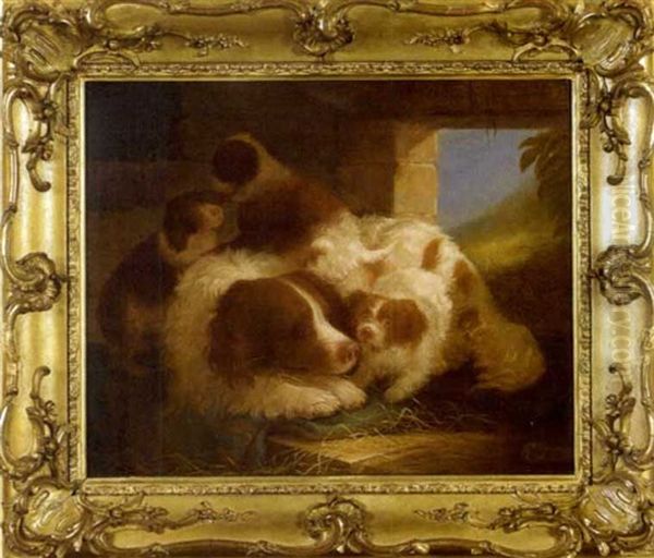 Spaniel With Pups In A Barn by Alvan Fisher