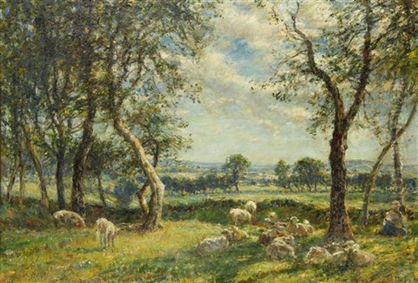 Sheep Resting Beneath The Shade Of A Tree Oil Painting by Mark William Fisher