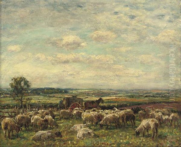 A Sheepfold Oil Painting by Mark William Fisher