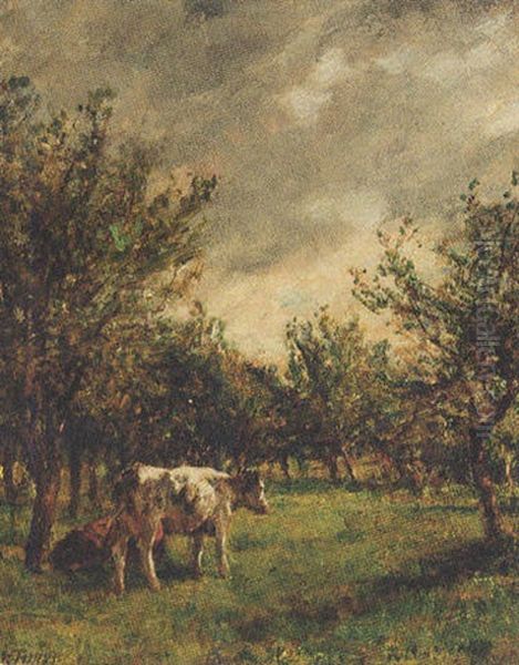 Cattle Resting In An Orchard Oil Painting by Mark William Fisher