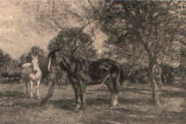 Horses Resting In An Orchard Oil Painting by Mark William Fisher