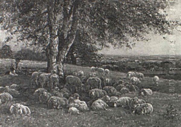 Shepherd And His Flock Resting Under A Tree Oil Painting by Mark William Fisher