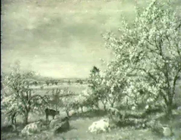 Cattle In An Orchard In Spring Oil Painting by Mark William Fisher