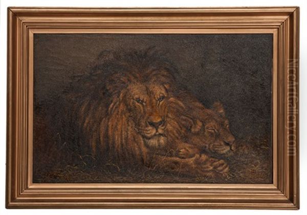 Lion And Lioness Oil Painting by P(ercy) Harland Fisher