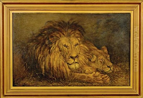 Lion And Lioness Oil Painting by P(ercy) Harland Fisher