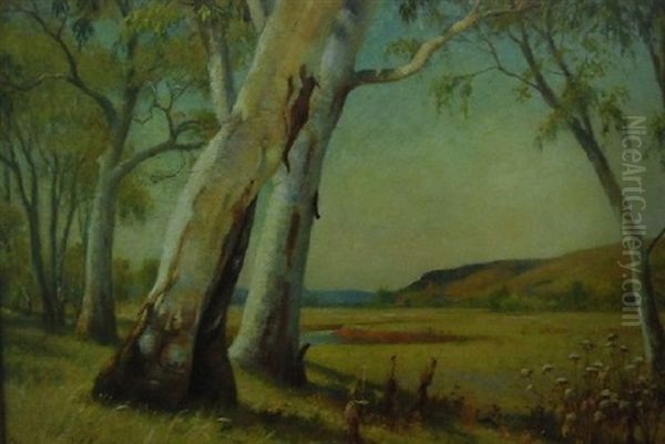 Under The Gum Trees Oil Painting by Florence Fitzgerald