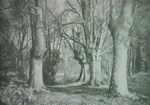 Burnham Beeches Oil Painting by Florence Fitzgerald