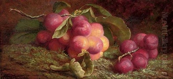 Cherries On A Branch (+ Plums On A Branch; Pair) Oil Painting by John Fitzmarshall