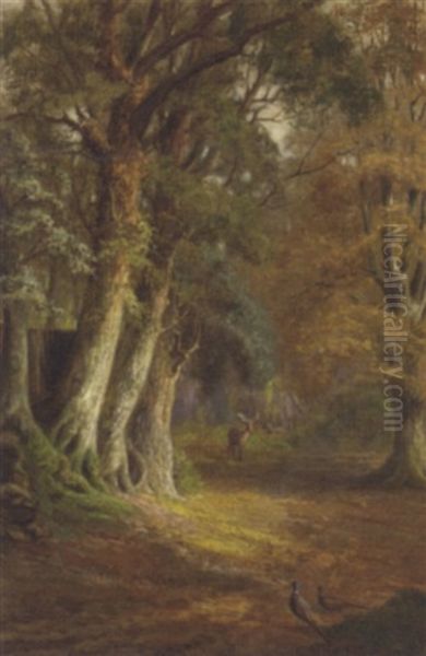 A Woodland Glade Oil Painting by John Fitzmarshall