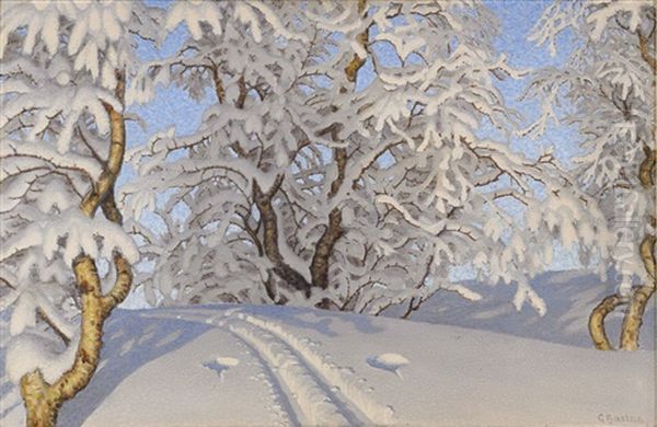 Hangbjork I Sol Och Sno Oil Painting by Gustaf Fjaestad