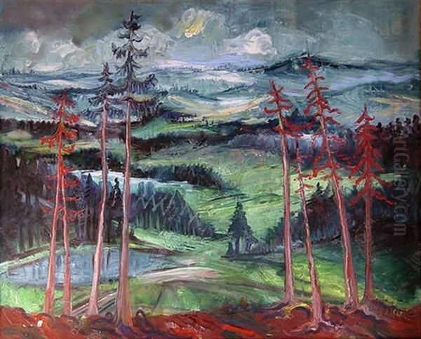 Schwarzwaldlandschaft Oil Painting by Waldemar Flaig