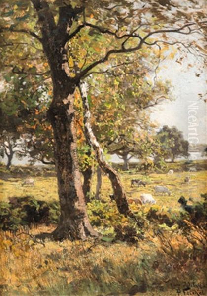 Sommerliche Landschaft Oil Painting by Paul Franz Flickel