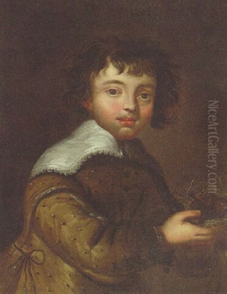 Portrait Of A Boy, Half-length In A Fawn Jacket And Lawn Collar, Holding A Bird's Nest Oil Painting by Govaert Flinck