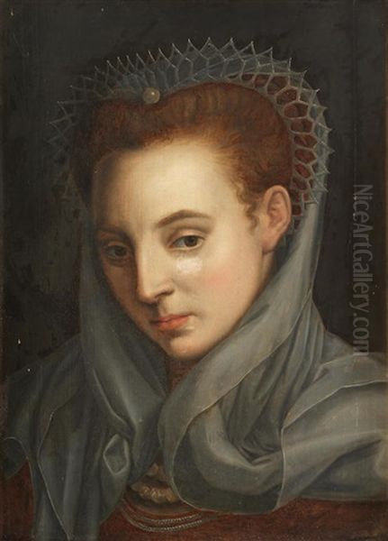 Head Of A Woman Oil Painting by Frans Floris the Elder