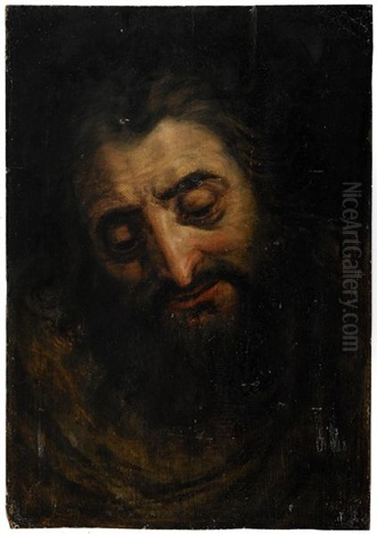 Head Of A Bearded Man Oil Painting by Frans Floris the Elder