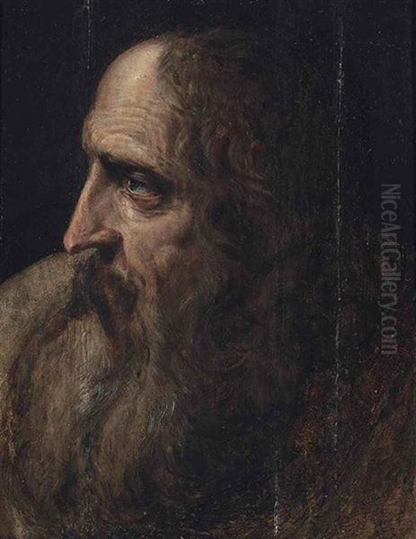 Head Study Oil Painting by Frans Floris the Elder