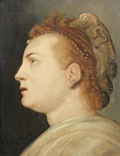 Head Of A Lady Oil Painting by Frans Floris the Elder