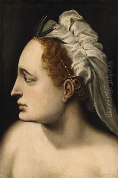 Head Of A Woman Oil Painting by Frans Floris the Elder