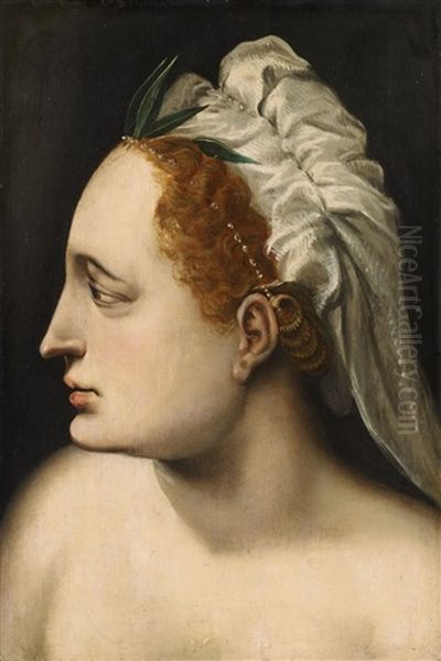 Head Of A Woman Oil Painting by Frans Floris the Elder