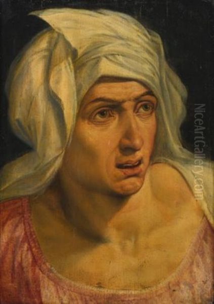 Head Of A Woman Oil Painting by Frans Floris the Elder