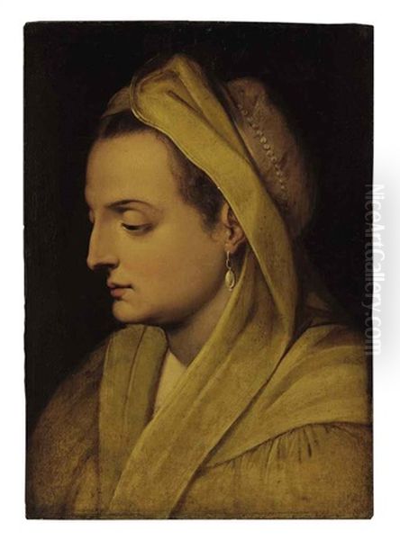 A Head Of A Woman With A Pearl Earring Oil Painting by Frans Floris the Elder