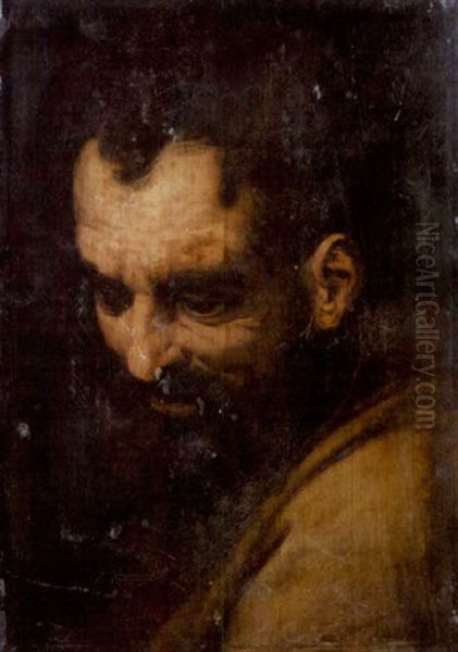 The Head Of A Bearded Man Oil Painting by Frans Floris the Elder