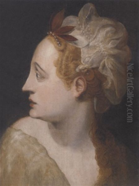 Head Of A Nymph Oil Painting by Frans Floris the Elder