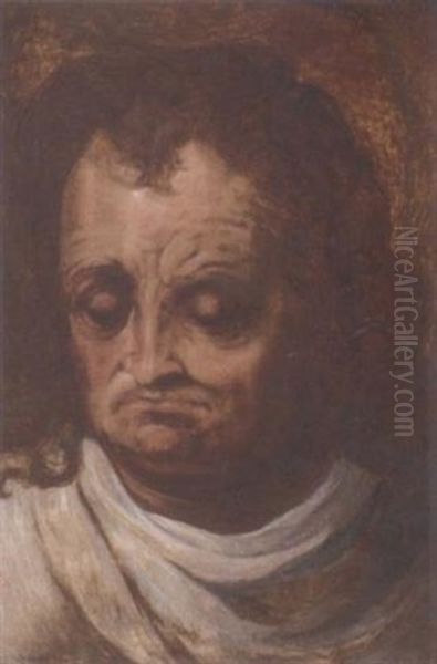 Head Of A Man Oil Painting by Frans Floris the Elder