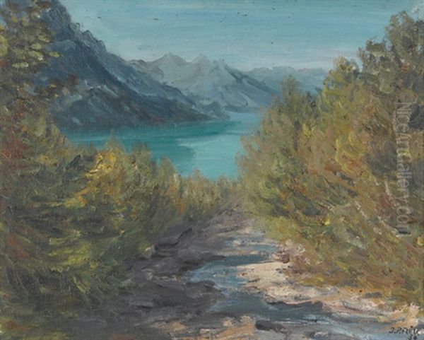 Blick Auf Den Brienzersee Oil Painting by Johann Peter Flueck