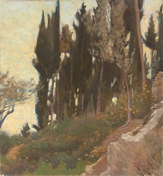 Cipressi A Monte Morello by Ruggero Focardi