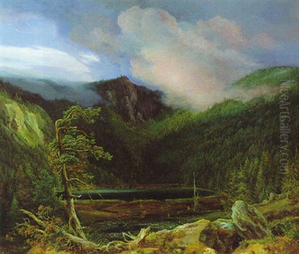 Landschaftsmotiv (plockensteinersee?) Oil Painting by Daniel Fohr