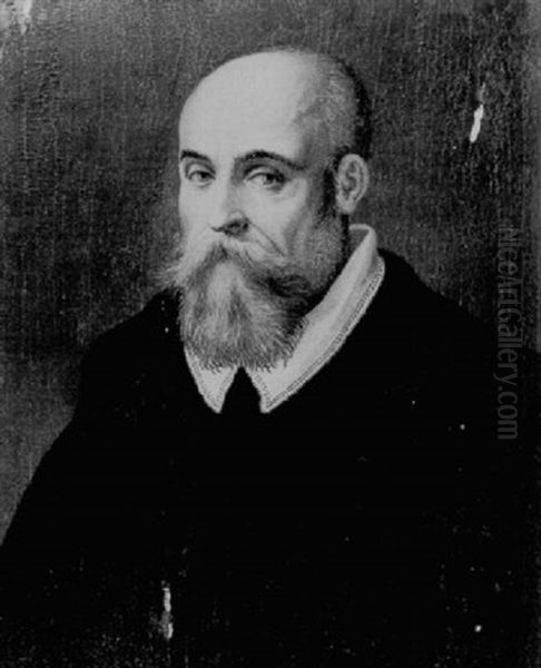 Portrait Of A Bearded Man Wearing A Black Jacket With A White Collar Oil Painting by Lavinia Fontana