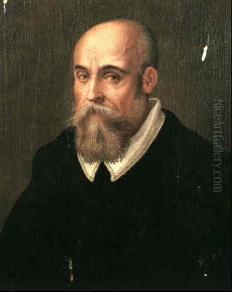 A Portrait Of A Bearded Man, Half Length, Wearing A Black   Jacket With A White Collar Oil Painting by Lavinia Fontana