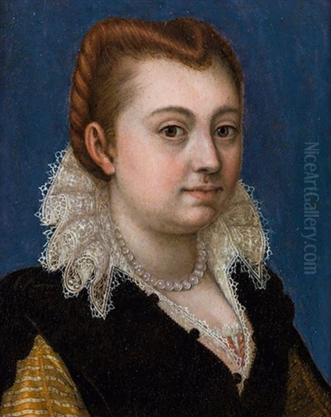 Portrait Of A Woman With A Lace Collar Oil Painting by Prospero Fontana