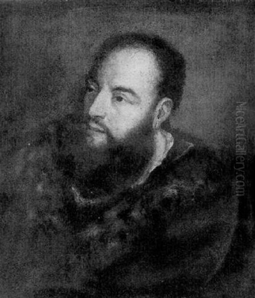 Portrait D'homme Barbu Oil Painting by Girolamo Forabosco