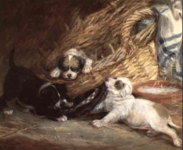 Hurrah For The Bonnets Of Blue: Portrait Of Three Puppies Oil Painting by Alexander Forbes