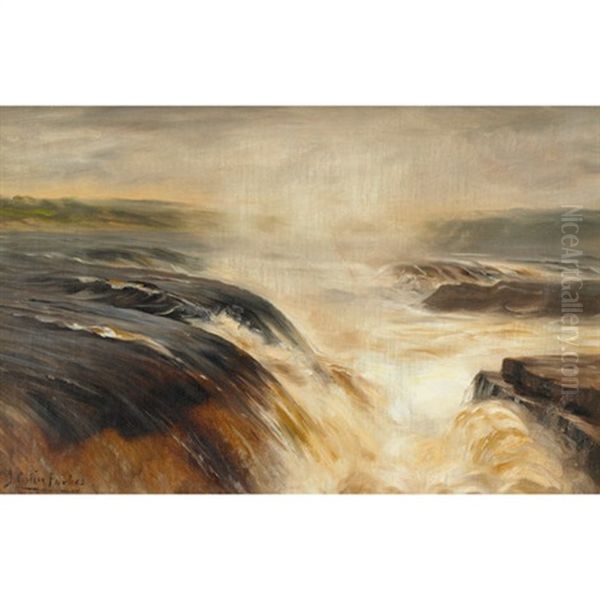 Rushing Water by John Colin Forbes